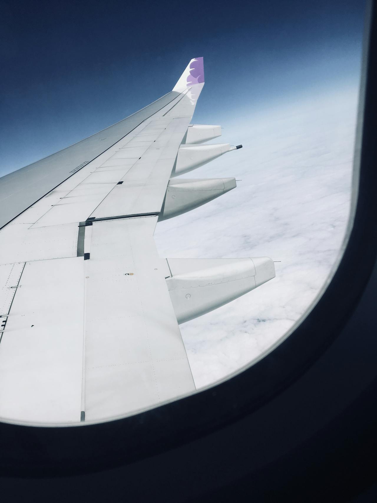 Should Young Infants Travel On Airplanes